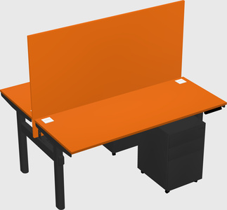 Shared electric desk