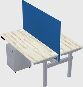 Shared electric desk