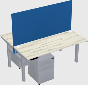 Shared electric desk