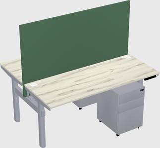 Shared electric desk