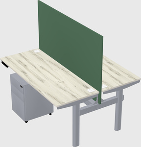 Shared electric desk