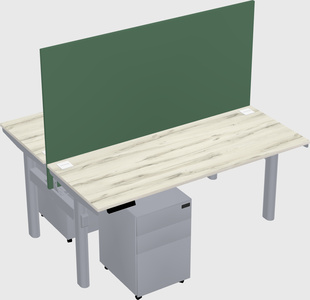 Shared electric desk
