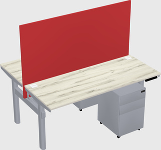 Shared electric desk
