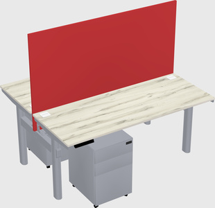 Shared electric desk