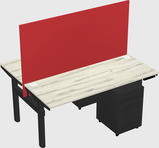 Shared electric desk