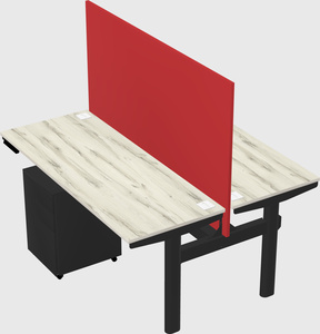 Shared electric desk