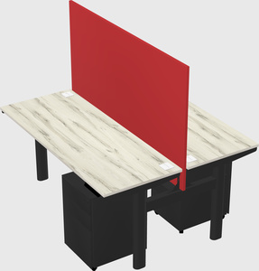 Shared electric desk