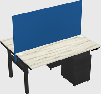 Shared electric desk