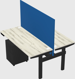 Shared electric desk