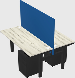 Shared electric desk