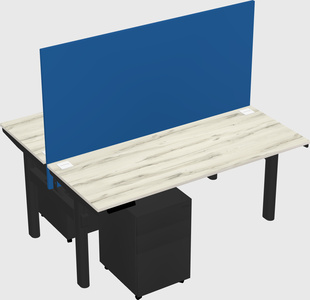 Shared electric desk