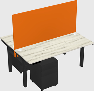 Shared electric desk