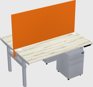 Shared electric desk