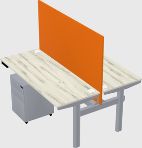 Shared electric desk