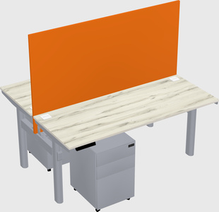 Shared electric desk