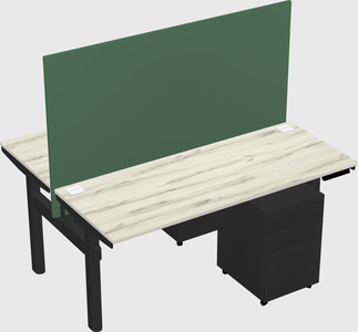 Shared electric desk