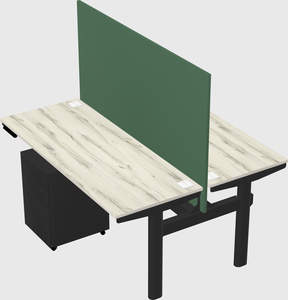Shared electric desk