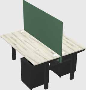 Shared electric desk