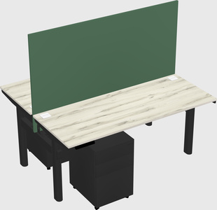 Shared electric desk