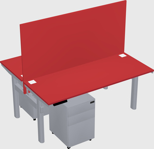 Shared electric desk