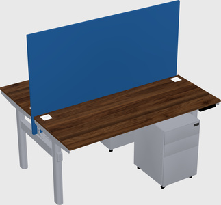 Shared electric desk