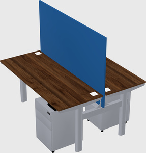 Shared electric desk