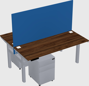 Shared electric desk