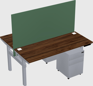 Shared electric desk