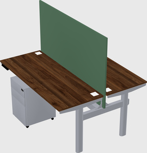 Shared electric desk