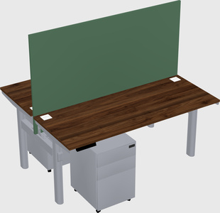 Shared electric desk
