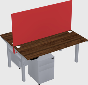 Shared electric desk