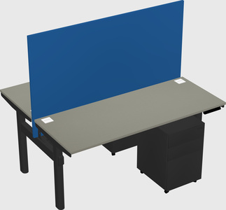 Shared electric desk