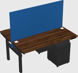Shared electric desk