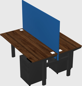 Shared electric desk