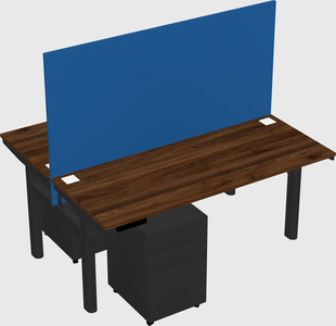 Shared electric desk