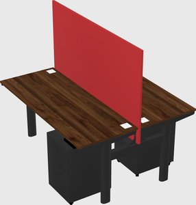 Shared electric desk