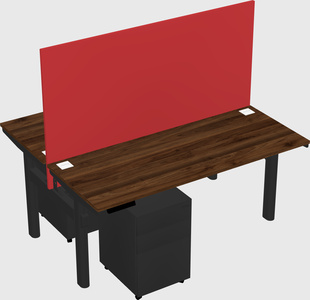 Shared electric desk