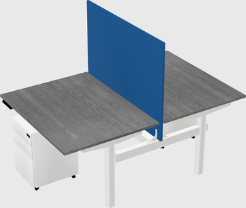 Shared electric desk