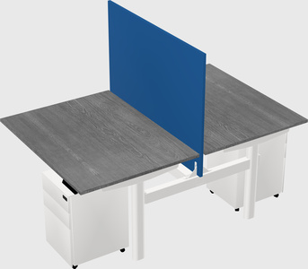 Shared electric desk