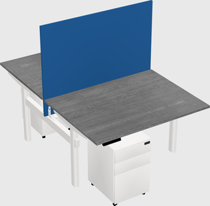 Shared electric desk