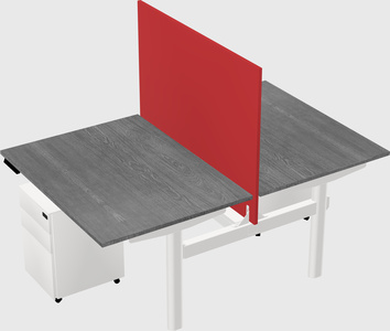 Shared electric desk