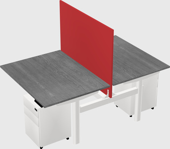 Shared electric desk