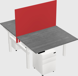 Shared electric desk