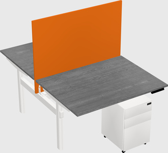 Shared electric desk