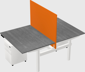 Shared electric desk