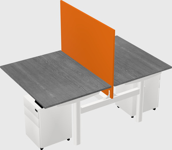 Shared electric desk
