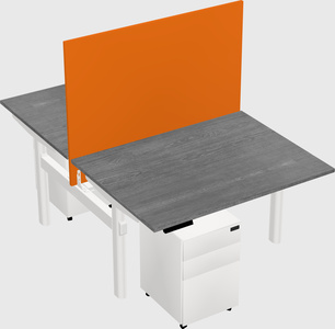 Shared electric desk