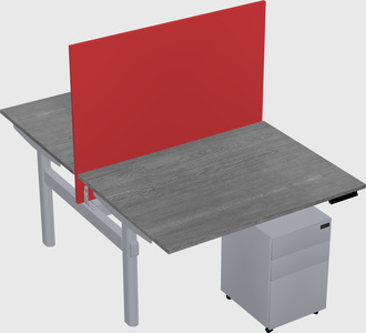 Shared electric desk