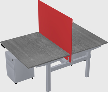 Shared electric desk