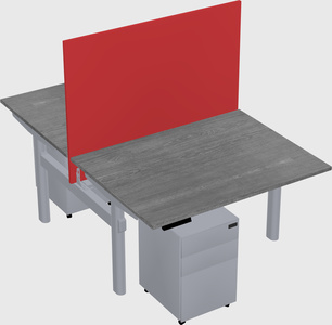 Shared electric desk